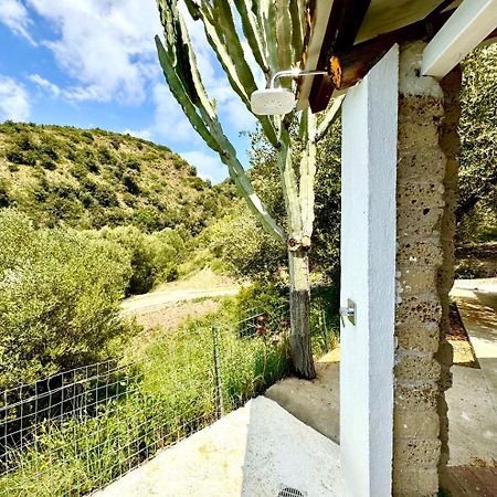 Villa Lo Scoglio Ascea Eksteriør billede