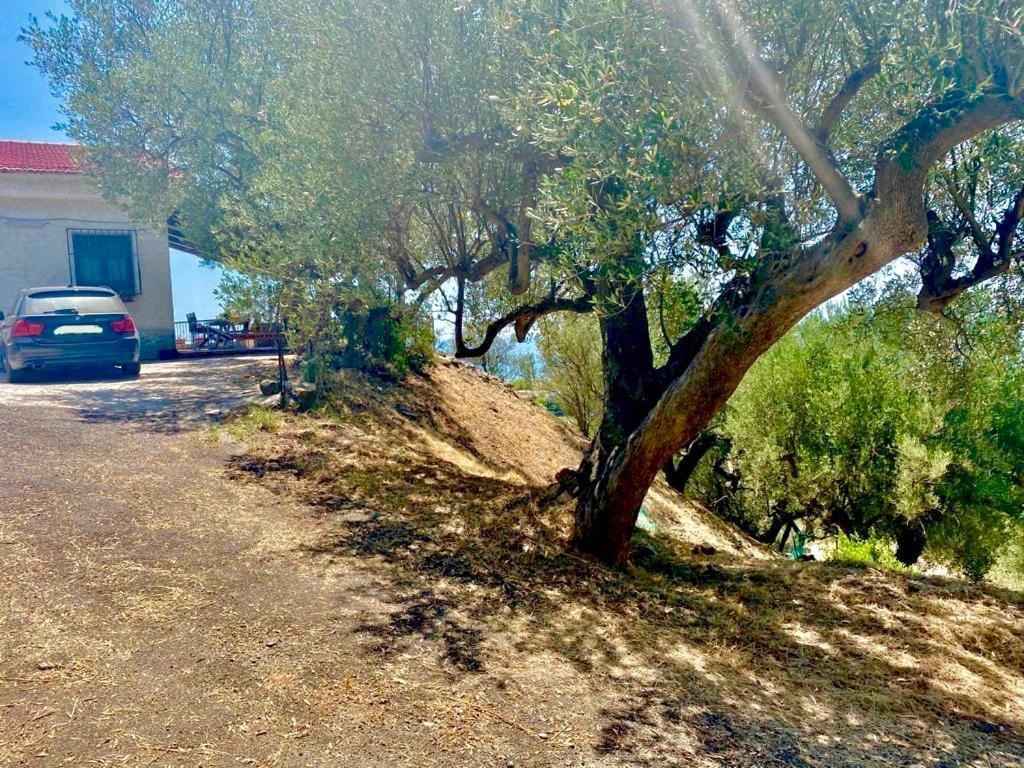 Villa Lo Scoglio Ascea Eksteriør billede